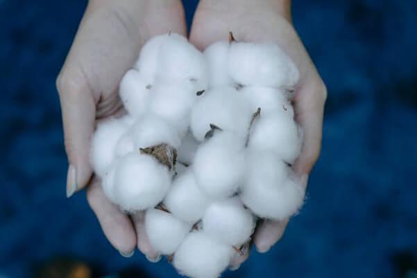 Quality Control of Raw Materials